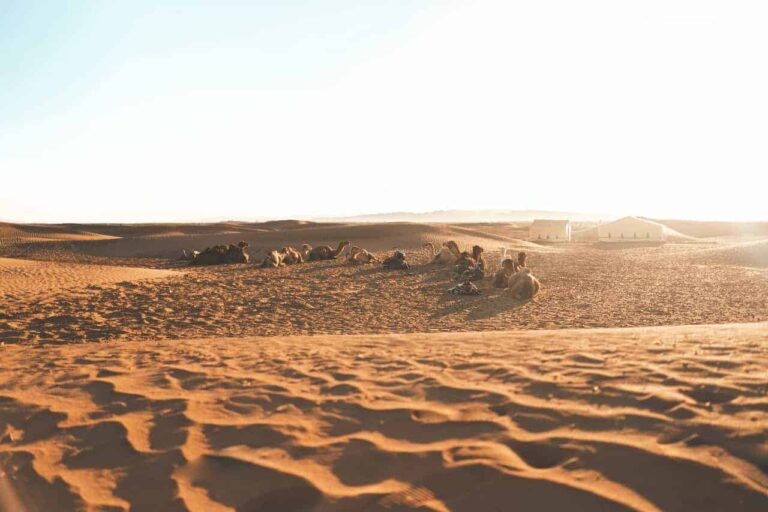 6 Días De Tour Por El Desierto Desde Marrakech