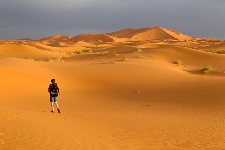 8 Días De Tour Desde Casablanca A Marrakech