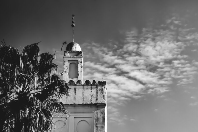 Excursión De Un Día Desde Fez Hacia Meknes