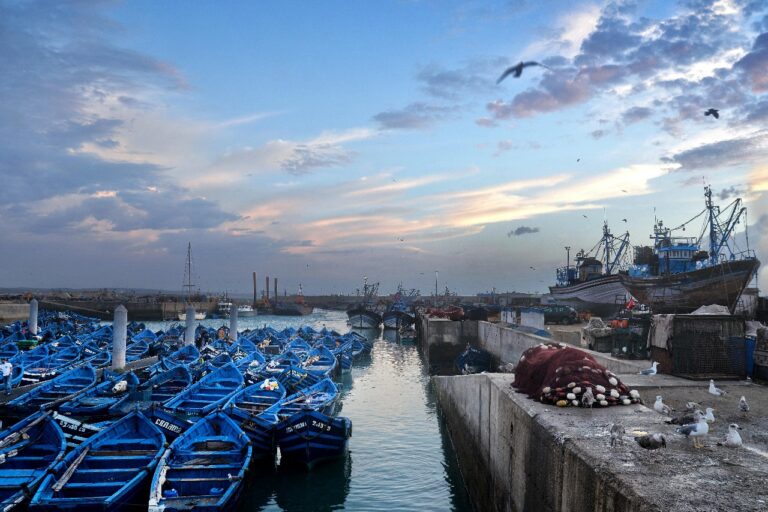 Excursión De Un Día Desde Marrakech A Essaouira
