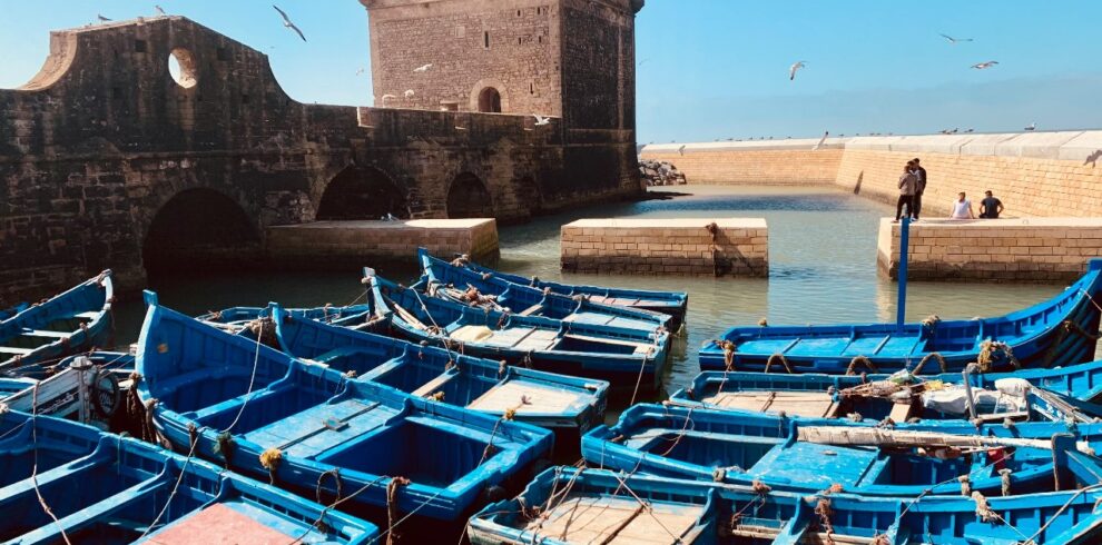 Excursión De Un Día Desde Marrakech A Essaouira