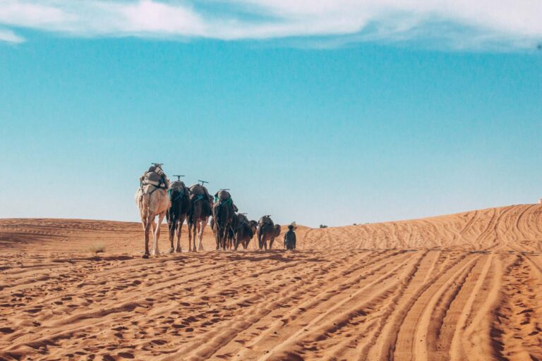 Excursión de 3 días por el desierto Desde Fez