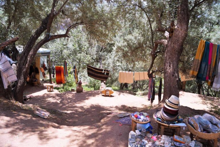 Excursión A Las Cascadas De Ouzoud