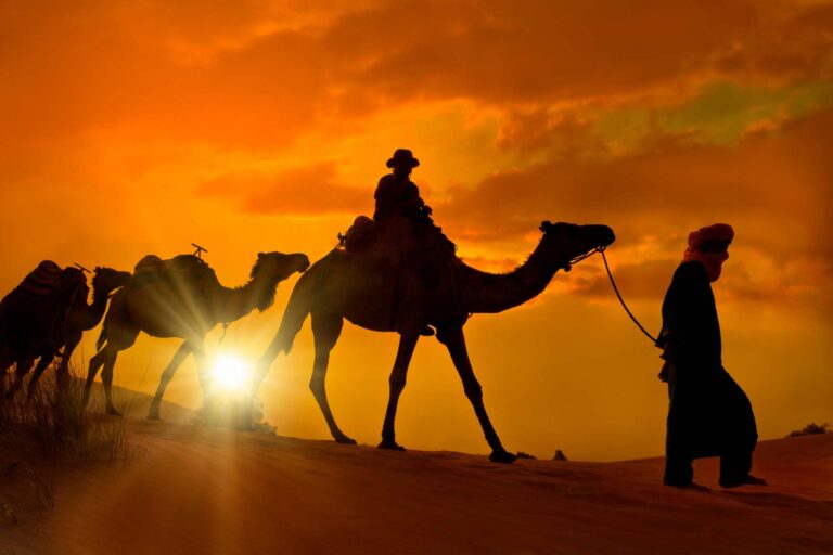 Tour De 12 Días Por Marruecos Desde Fez