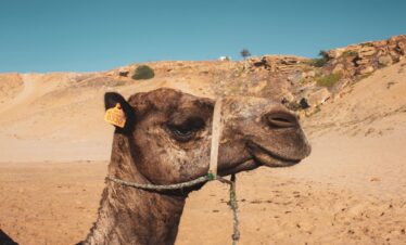 Tour Di 12 Giorni Da Marrakech
