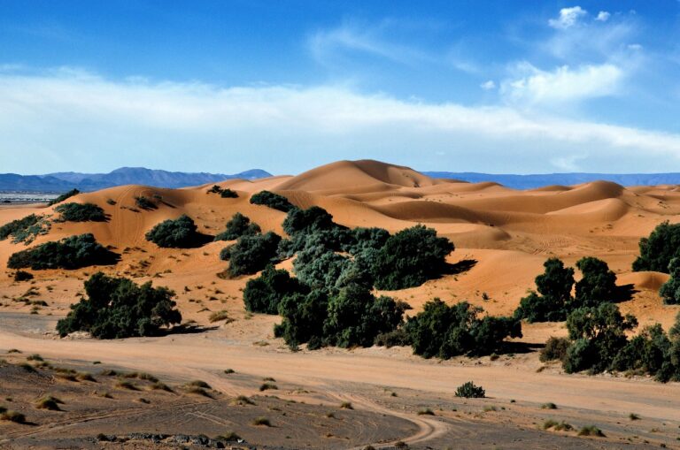 Excursión De 2 Días Al Desierto De Errachidia