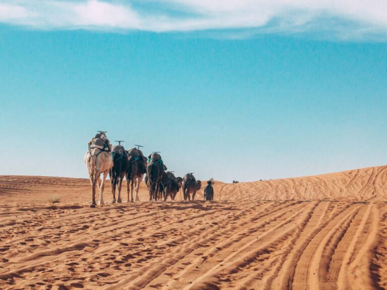 Excursión De 5 Días Desde Fez Al Desierto Del Sahara
