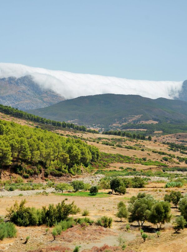 Rutas desde Errachidia