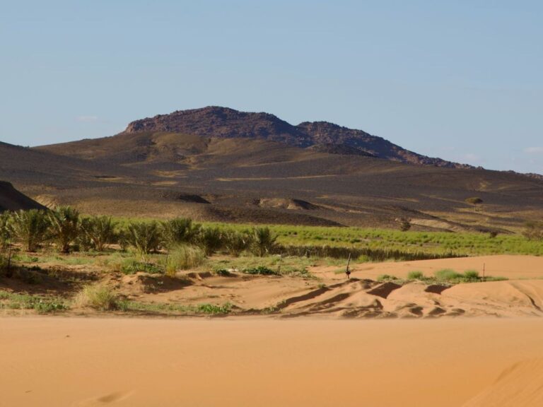 Tour De 10 Días Por Marruecos Desde Fez Al Sahara
