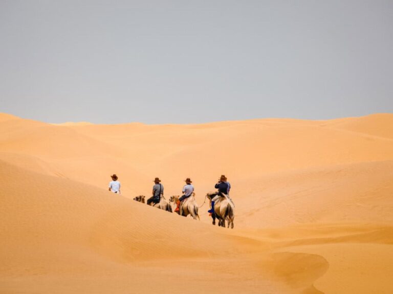 Tour Di 12 Giorni Da Casablanca A Marrakech