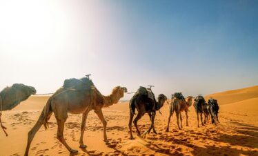 Excursión De 3 Días Al Desierto Del Sahara
