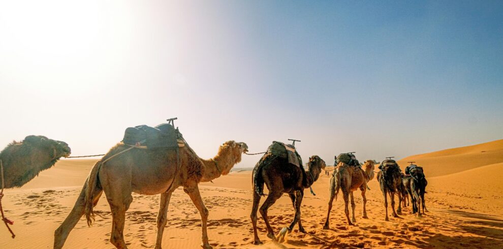 Excursión De 3 Días Al Desierto Del Sahara